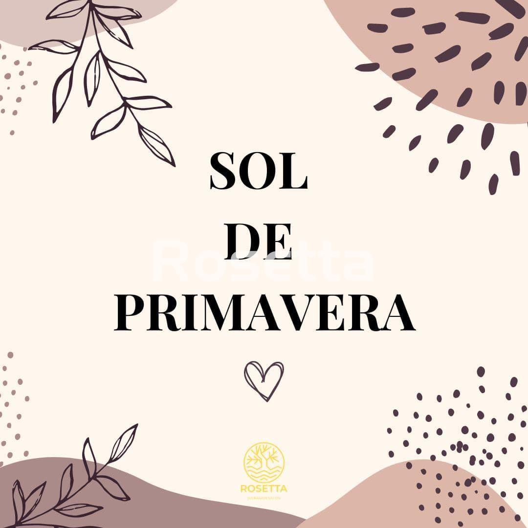 SOL DE PRIMAVERA - Imagen 1